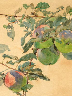 Alternate image of The rosy-cheeked ones by Anna Airy