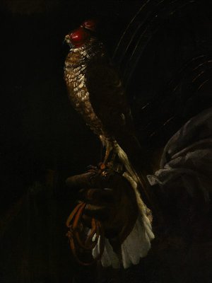 Alternate image of Portrait of a gentleman with a falcon by Nicolò dell'Abate