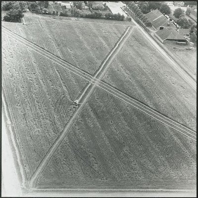 Alternate image of Directed seeding - cancelled crop by Dennis Oppenheim