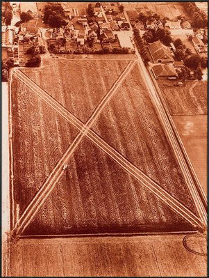 Alternate image of Directed seeding - cancelled crop by Dennis Oppenheim