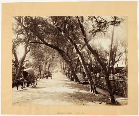 Alternate image of Skinner lane, Colombo by Unknown photographer