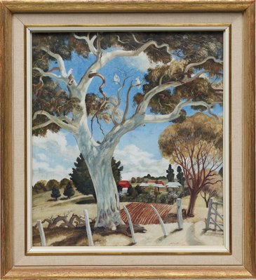 Alternate image of Landscape near Cooma by Adrian Feint