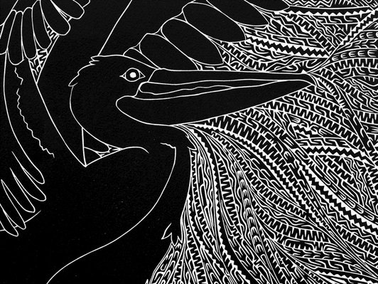 Alternate image of Auka Metkar Goweh (Plenty pelican) by Daniel O'Shane