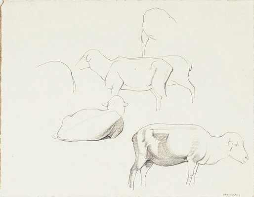 Alternate image of Studies of sheep by Nora Heysen