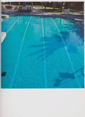 Alternate image of Nine swimming pools and a broken glass by Edward Ruscha