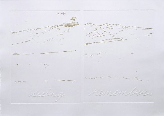 Alternate image of Forty pages from Antarctica by Bea Maddock