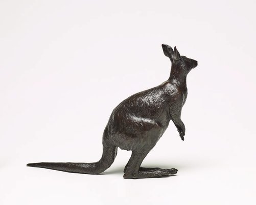 Alternate image of Kangaroo by Izumi Seijo
