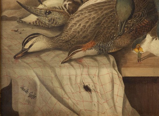 Alternate image of Dead game birds by Neville Cayley