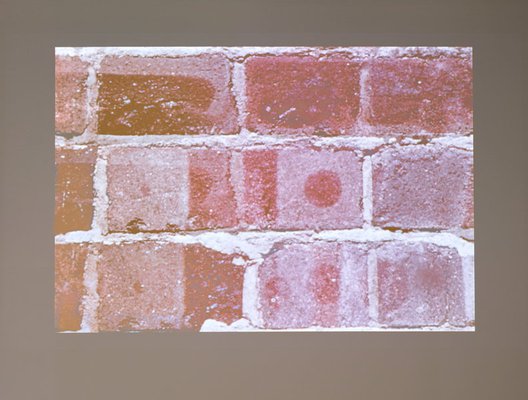 Alternate image of Brickwall by Paul Winkler