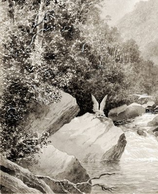 Alternate image of In the Grose Valley, Blue Mountains by WC Piguenit