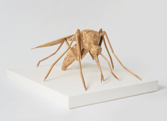 Alternate image of Mosquito by James Angus