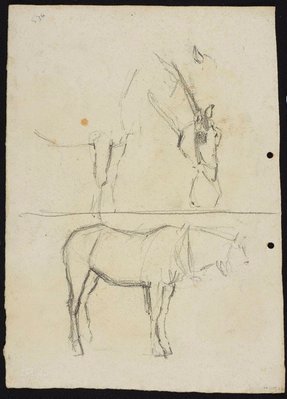 Alternate image of recto: Three horse studies
verso: Horse with nosebag and Horse (head unfinished) by Lloyd Rees