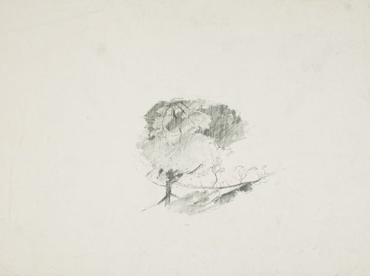 Alternate image of recto: Trees
verso: Shrubs and tree on slope by Lloyd Rees