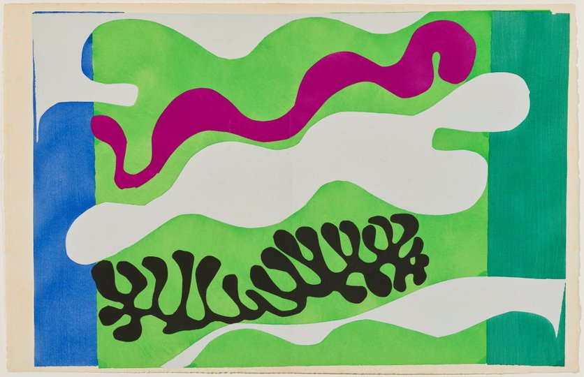 AGNSW collection Henri Matisse The lagoon 1947