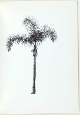 Alternate image of A few palm trees by Edward Ruscha