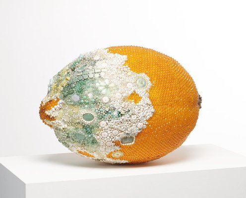 Alternate image of Bad lemon (lichen) by Kathleen Ryan