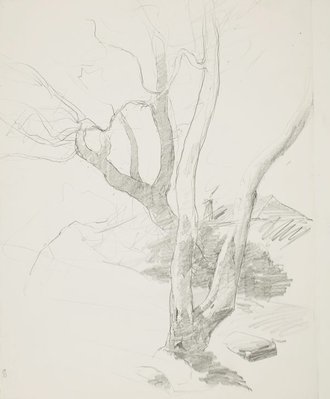 Alternate image of recto: Bush view
verso: Bare trees and rooftop by Lloyd Rees