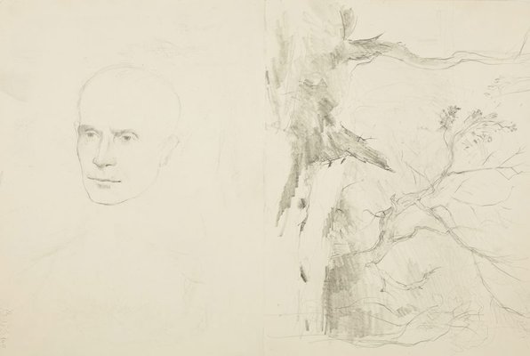 Alternate image of recto: Street view and Trees
verso: Trees and Head of a man by Lloyd Rees