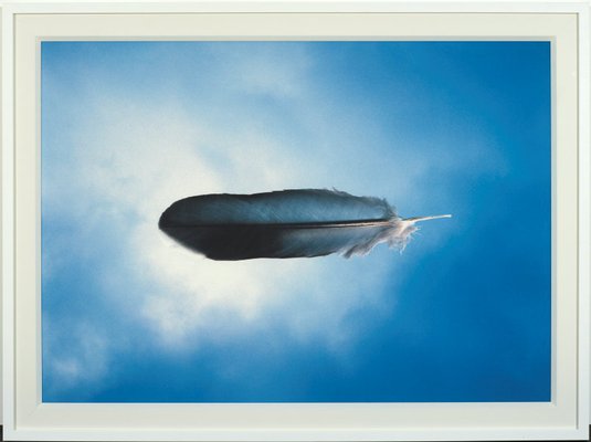 Alternate image of Untitled (feather) by Michael Riley