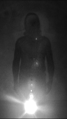 Alternate image of Bodies of light by Bill Viola