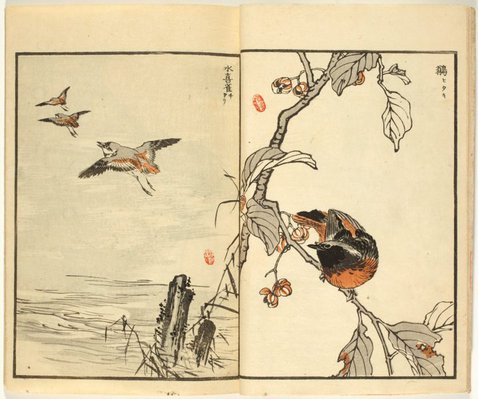 Alternate image of Bairei Hyakuchô Gafu: Chi by Kōno Bairei
