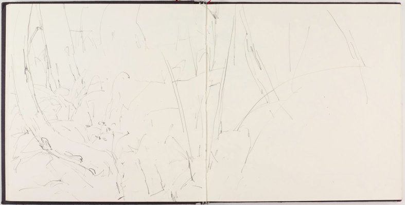 Alternate image of Sketchbook for 'Between two logs, Kalorama' by Mary Tonkin