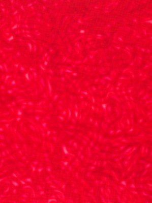 Alternate image of Untitled (Red shape) by Bernard Cohen