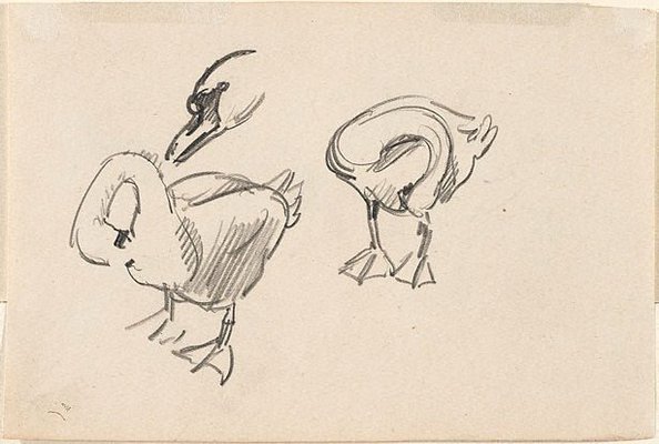 Alternate image of recto: (Studies of swans and a duck)
verso: (Further studies of a swan) by Lionel Lindsay