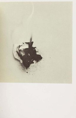 Alternate image of Various small fires and milk by Edward Ruscha
