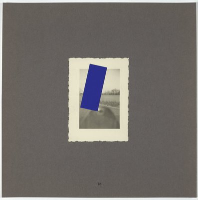 Alternate image of The blue album by Chris Fortescue