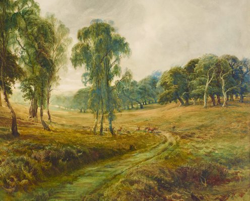 Alternate image of Cannock Chase – 'When the sweet wind did gently kiss the trees, and they did make no noise' by Bernard Evans