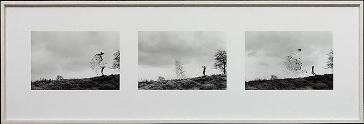 Alternate image of Leaf throws, Blairgowerie, Perthshire, Tayside, 3 January 1989 by Andy Goldsworthy