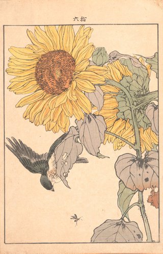 AGNSW collection Imao Keinen Sunflower and Yellow bunting 1891