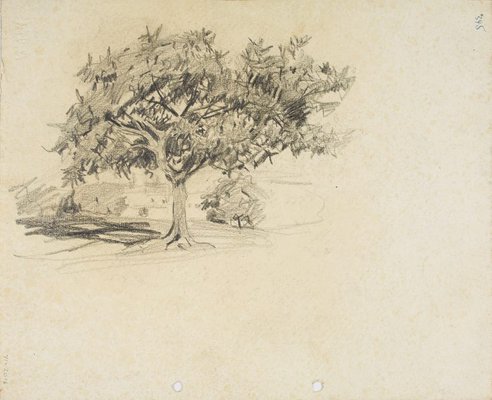 Alternate image of recto: Trees
verso: Tree in landscape by Lloyd Rees