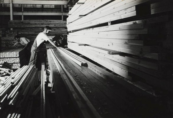 Alternate image of recto top: Untitled (cutting milled timber)
recto bottom: Untitled (loading timber) by Max Dupain