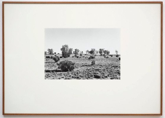 Alternate image of A hundred mile walk along a straight line in Australia by Richard Long